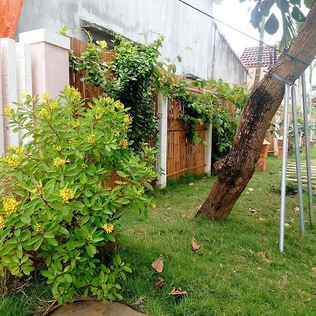 The Field Homestay Хоян Екстер'єр фото