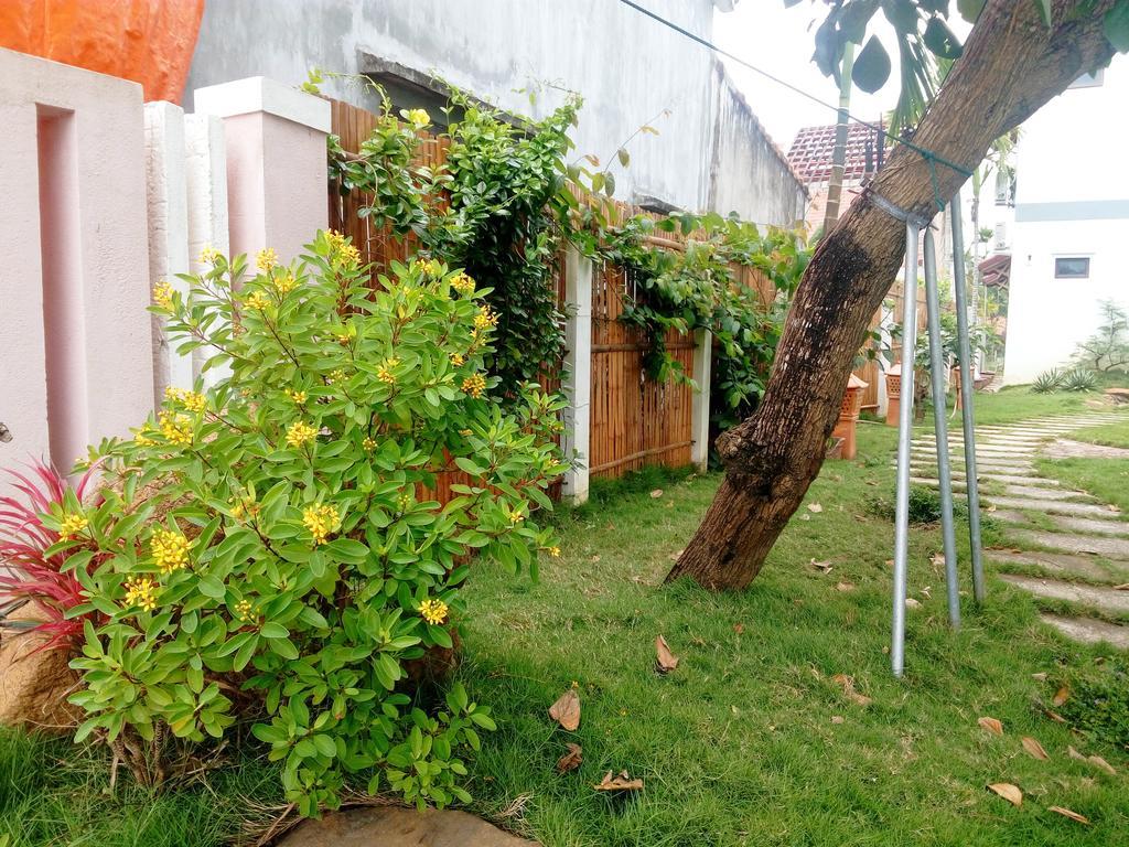 The Field Homestay Хоян Екстер'єр фото