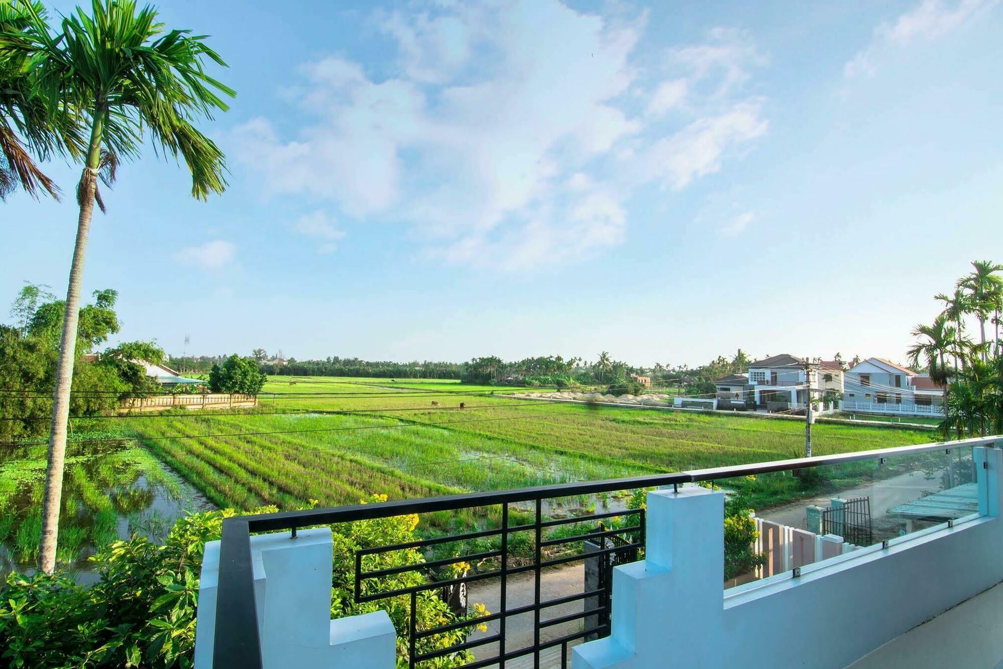 The Field Homestay Хоян Екстер'єр фото