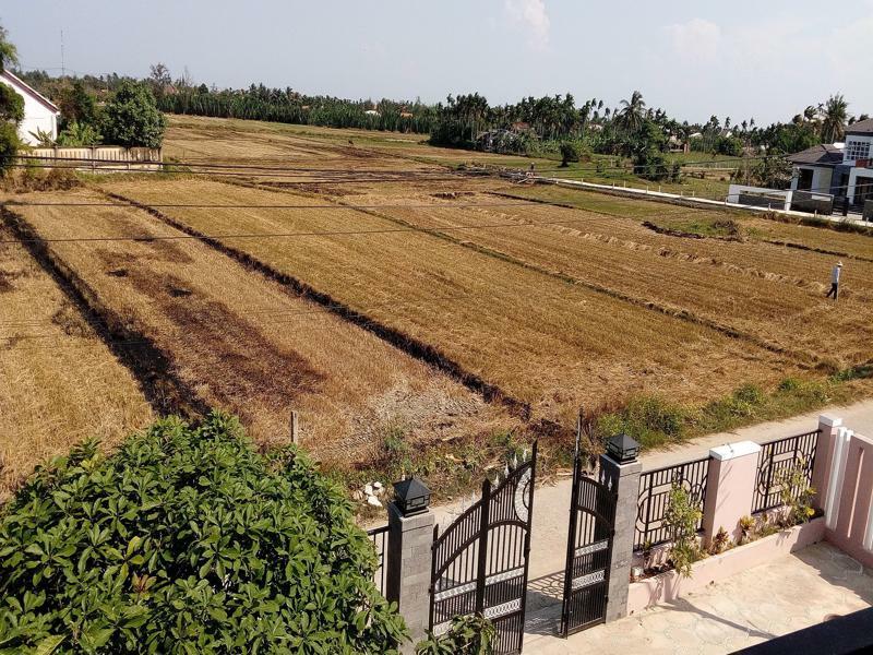 The Field Homestay Хоян Екстер'єр фото