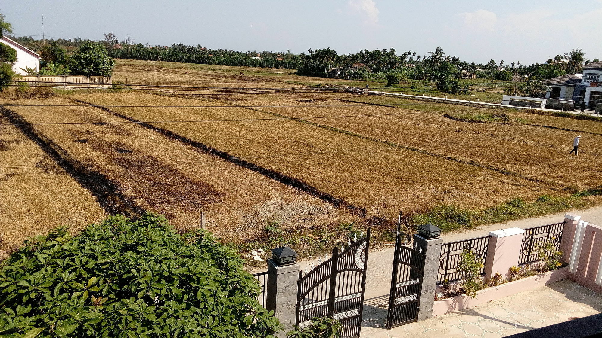 The Field Homestay Хоян Екстер'єр фото